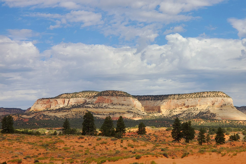 Kanab: Peek-a-Boo Slot Canyon ATV Self-Driven Guided Tour 4-Person UTV
