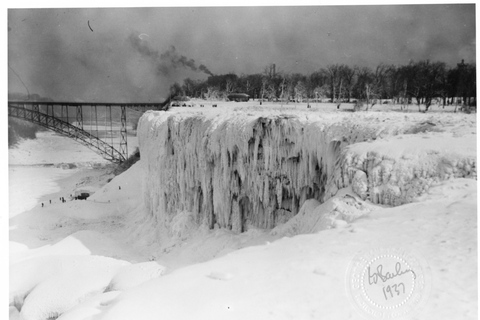 Niagara Falls: Guided Festival of Lights Tour Niagara Falls: Private Festival of Lights Tour with a Guide