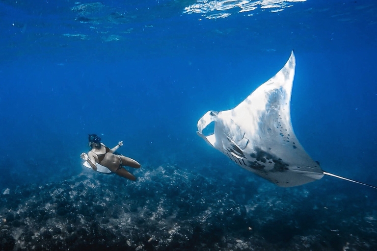 Kailua-Kona: boottocht en Manta Ray-snorkelervaring