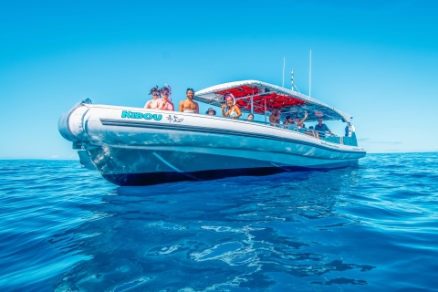 Kailua-Kona: Wycieczka łodzią i nurkowanie z rurką Manta Ray