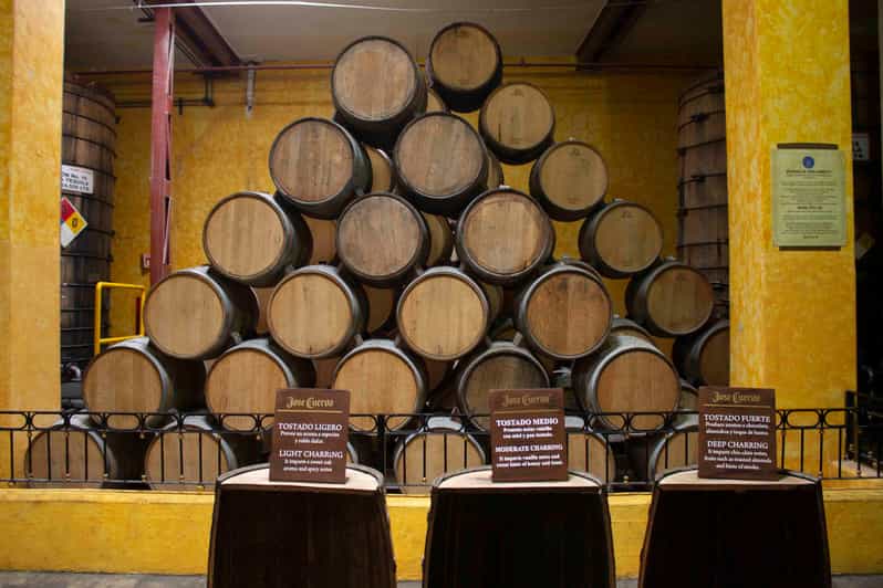 From Guadalajara Jose Cuervo Distillery & Tequila Town Tour GetYourGuide