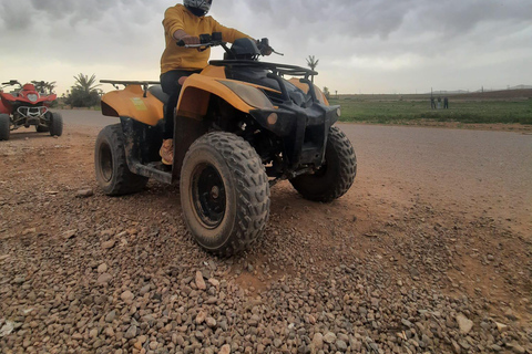 Tour quad in de palm van Marrakech