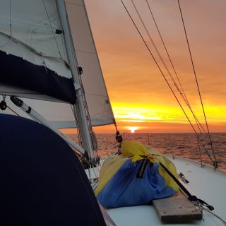 Stralsund: Hiddensee Sailboat Trip with Snacks and Drinks