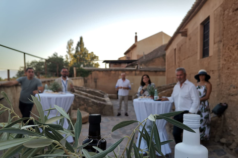 From Granada: Olive Oil Mill Excursion in the Lecrín Valley From Granada: Olive Oil Mill Excursion in the Lecrín Valley