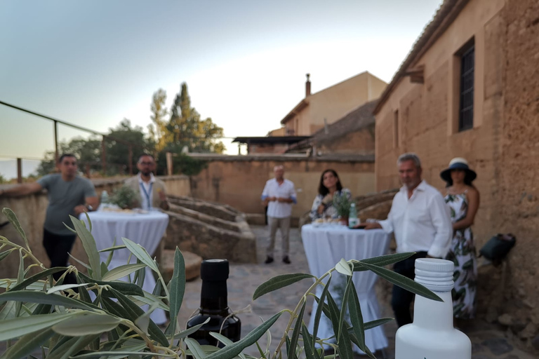 From Granada: Olive Oil Mill Excursion in the Lecrín Valley From Granada: Olive Oil Mill Excursion in the Lecrín Valley