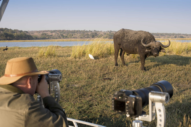 Nairobi: Safari camping de 4 jours au Maasai Mara et au lac Nakuru