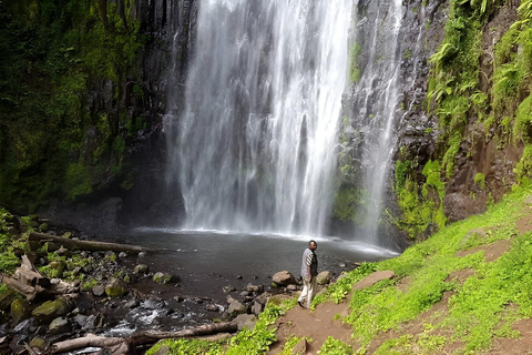 Materuni: Coffee Making and Waterfall Hike Day Trip