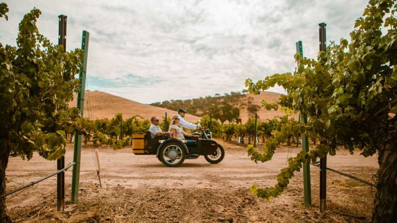 sidecar wine tours paso robles