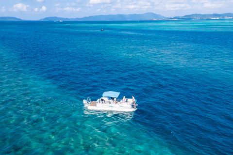 Okinawa: Ishigaki Island Snorkeling Cruise with Drinks