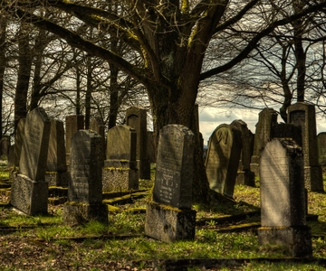 Galveston: Old City Cemetery Walking Tour with Local Guide