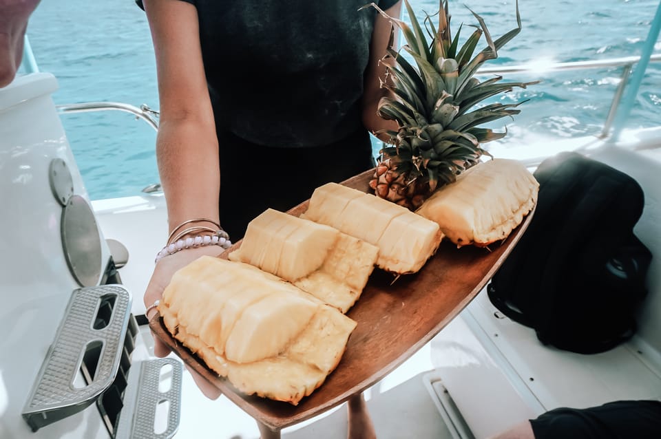 KailuaKona Dolphin Watch Speedboat Snorkel Cruise and BBQ GetYourGuide