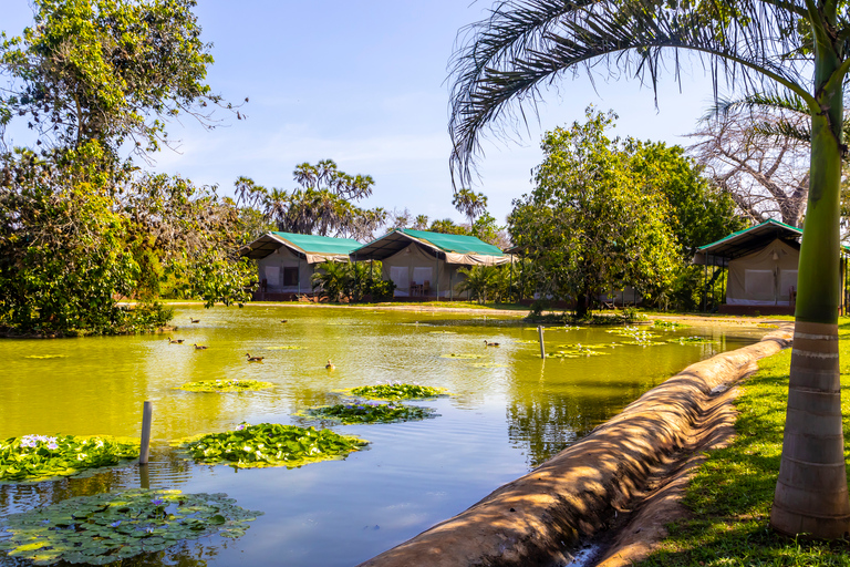 Exploring Nature's Treasures: A Private Day Trip in Diani Exploring Nature's Treasures: A Day Trip in Diani