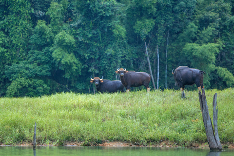 Khao Lak: Cheow Lan Lake Overnight Resort Stay with Meals