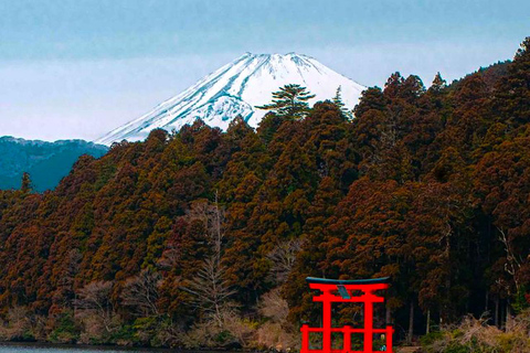 Tokyo: Privat dagsutflykt till Fuji-berget och Hakone med guide