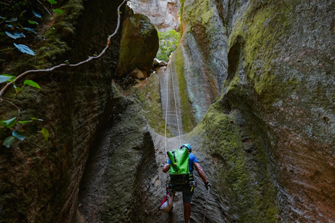 Tenerife: Los Arcos Canyoning Tour com guia