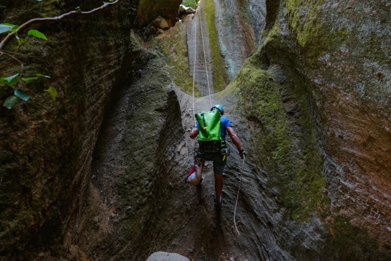 Tenerife: Los Arcos Canyoning Trip with Canyoning Guide