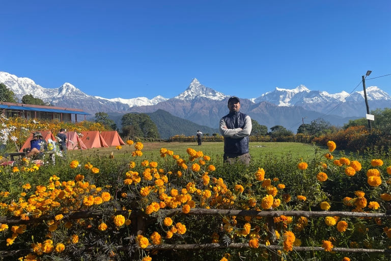Desde Katmandú: Mardi Himal Trek