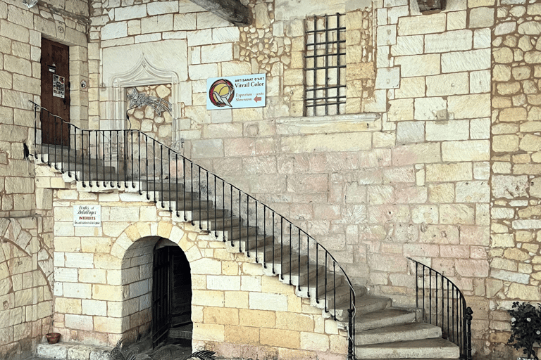 Bordeaux: Tour dei vini e dei vigneti di Saint-Émilion