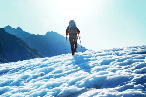 Alaska: Kenai Fjords & Denali National Park 5 Day Adventure Triple Occupancy Room