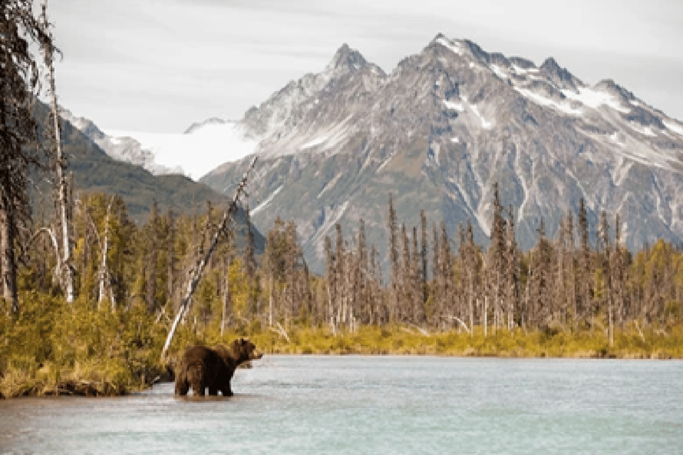 Denali Day Trip  Visit Anchorage