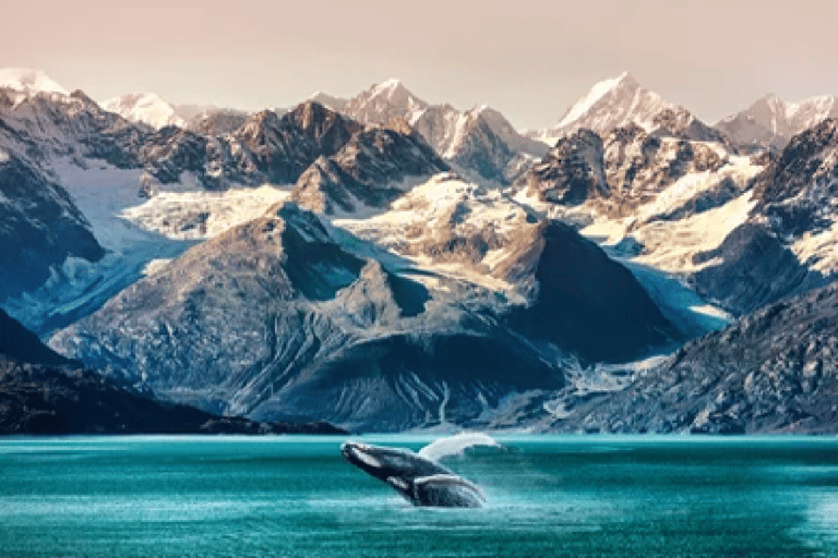 Alaska: Kenai Fjords & Denali National Park 5 Day Adventure Triple Occupancy Room