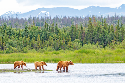 Alaska: Kenai Fjords & Denali National Park 5 Day Adventure Triple Occupancy Room