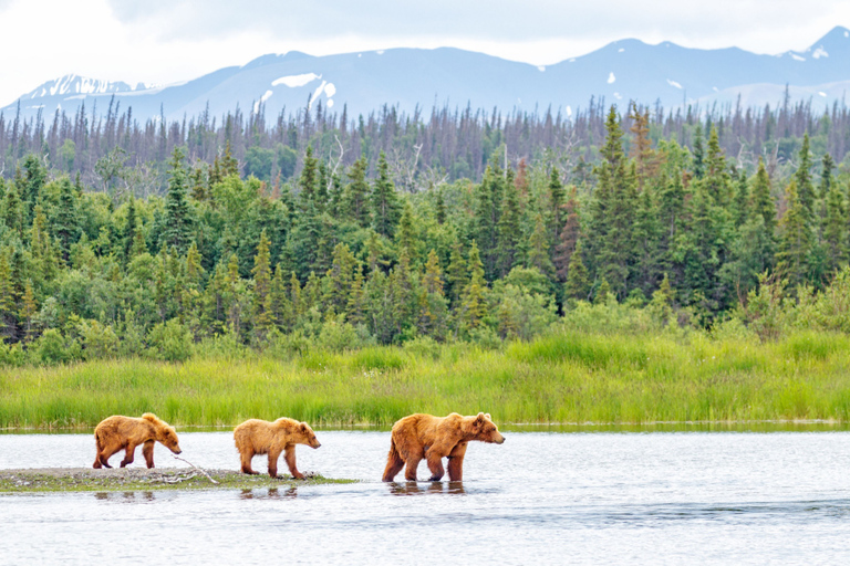 Alaska: Kenai Fjords & Denali National Park 5 Day Adventure Triple Occupancy Room