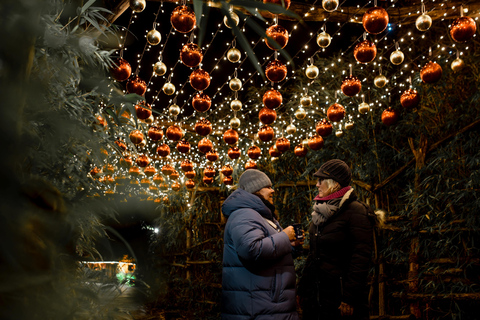 Leipzig: Ingresso para o Jardim de Natal