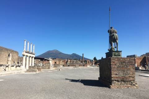 Pompeii met een archeoloog, het origineelRondleiding in het Engels
