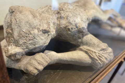 Pompeii met een archeoloog, het origineelRondleiding in het Engels