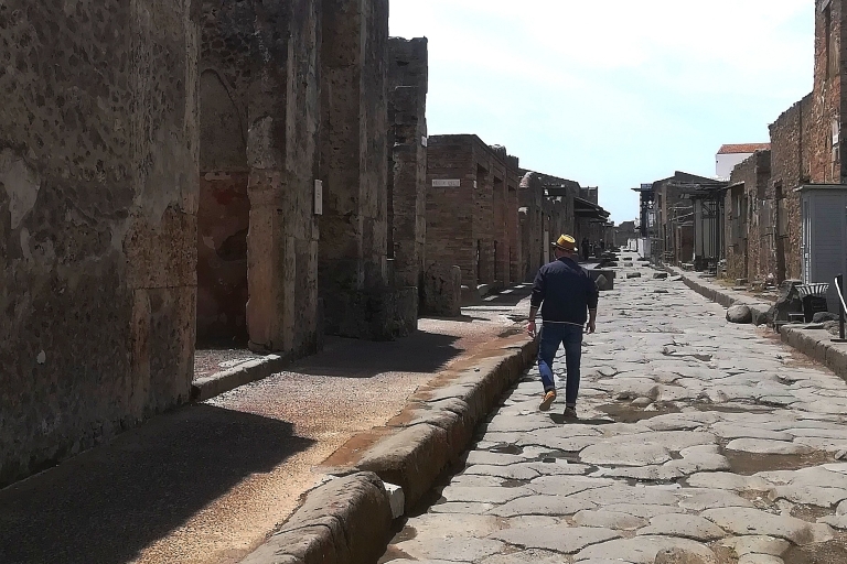 Pompeya con un arqueólogo, el originalgira en ingles