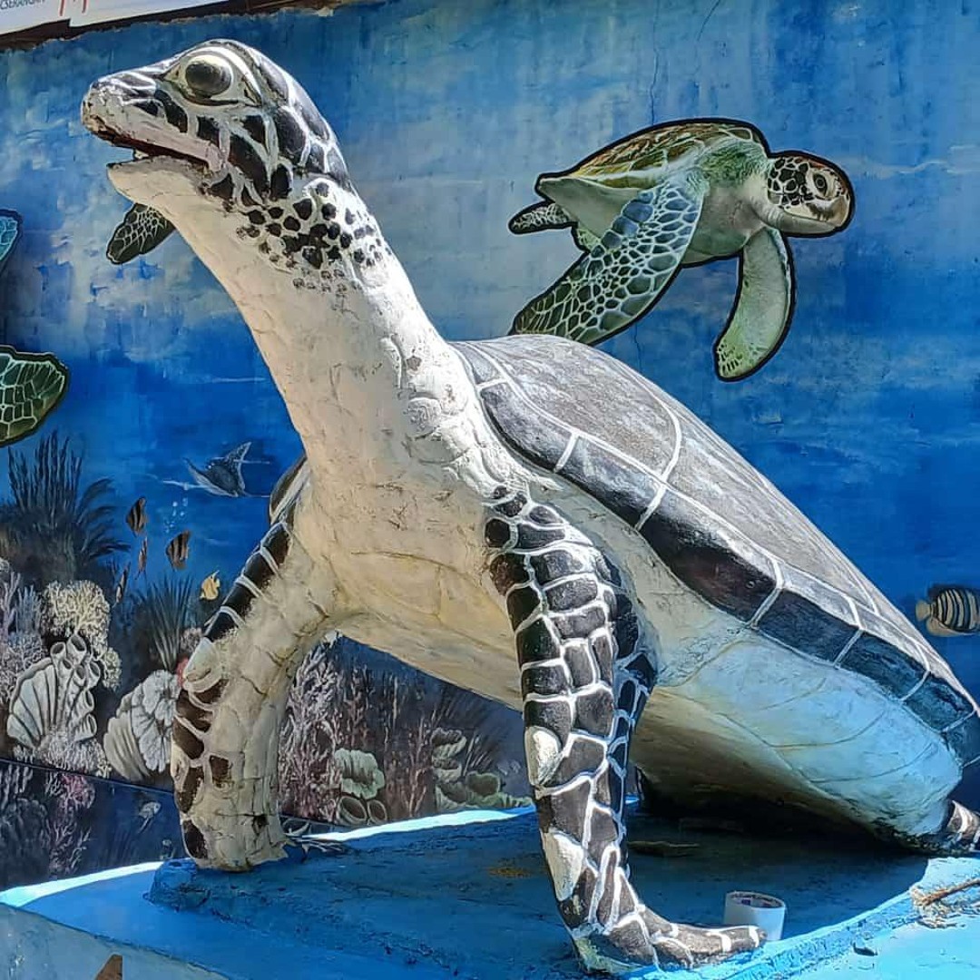 バリ島カメの壁掛け30年物 バリ島カメの壁掛け30年物 バリ島カメの壁掛け30年物