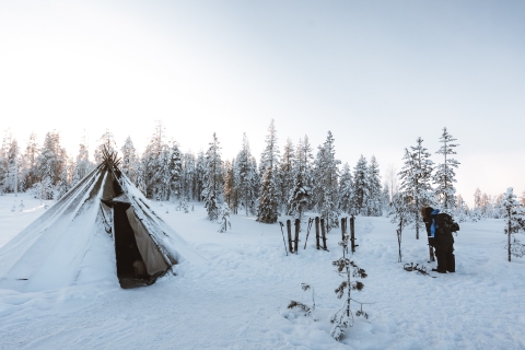 Rovaniemi: Ski-Trekking Safari w Laponii