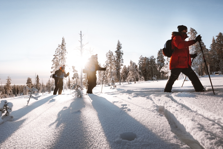 Rovaniemi: Safari de esquí de montaña en Laponia