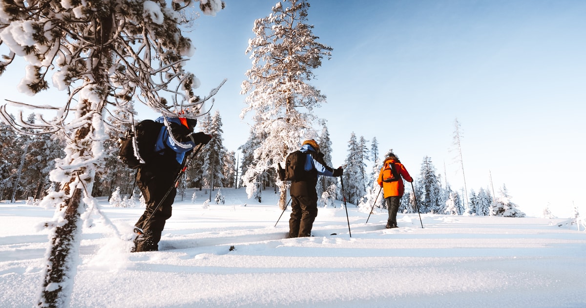 ski safari rovaniemi