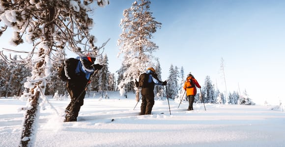 Rovaniemi: Lapland Ski Trekking Safari