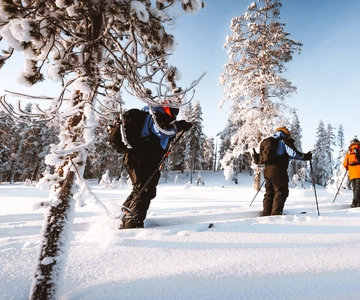 Rovaniemi: Ski Trekking Safari in Lapland