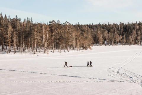 Rovaniemi: Zimowa wycieczka na rakietach śnieżnych w dziczy