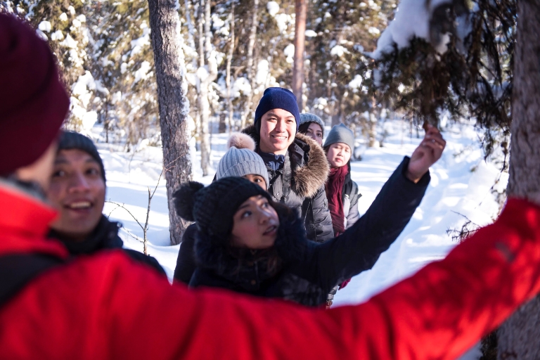 Rovaniemi: viaje con raquetas de nieve por el desierto invernal