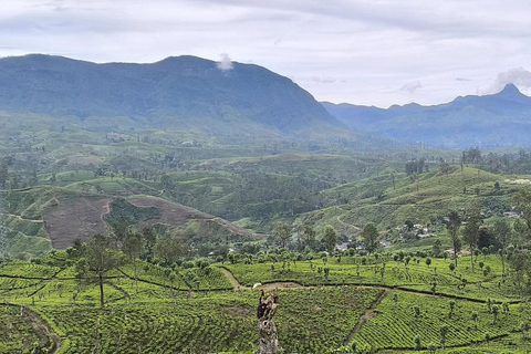 Pekoe Trail 6-9: Guided 6 Day Trail with Hotels & Transfers