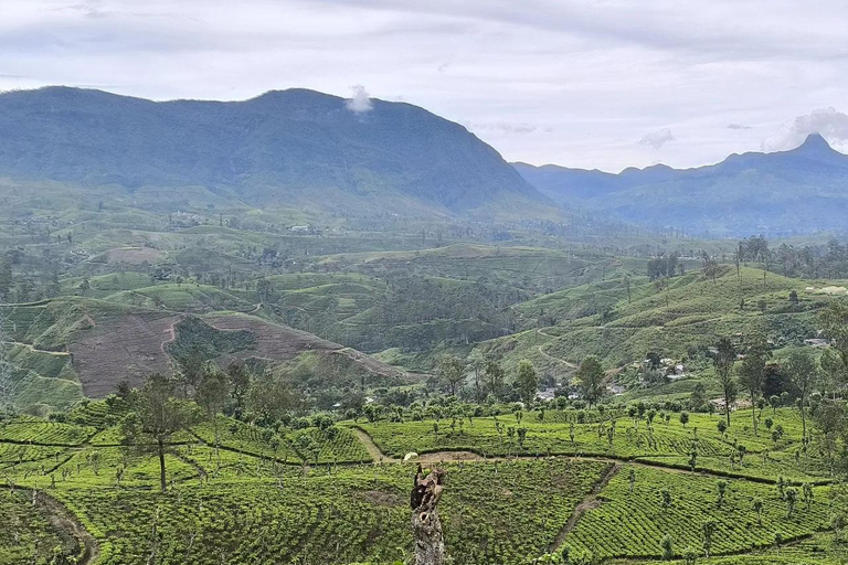 Pekoe Trail 6-9: Guided 6 Day Trail with Hotels & Transfers