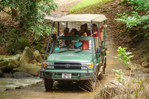 Mauritius: Bel Ombren luonnonsuojelualue 4x4 safariseikkailu