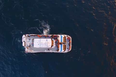 Tromsø: Whale and Arctic Wildlife Cruise Safari by Catamaran