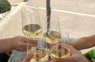 Von Valencia aus: Requena Wein-Tour mit Verkostungen