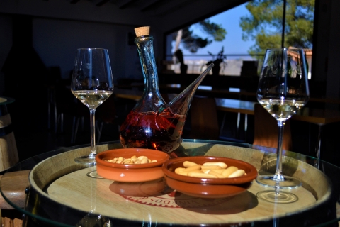 Desde Valencia: Requena Wine Tour con CatasDesde Valencia: tour privado del vino de Requena con degustaciones