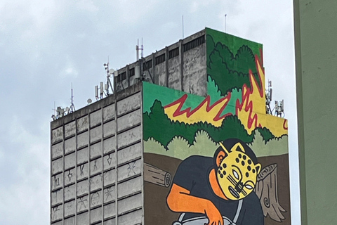 São Paulo's Best Attractions: 5h Private Tour (Hotel Pickup) São Paulo Best Attractions: 8h Private Tour