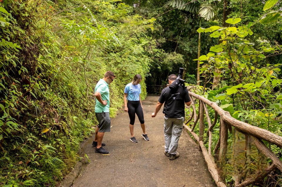 La Fortuna Arenal Hanging Bridges Hiking Tour Getyourguide