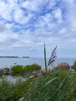 From Tallinn, Lahemaa National Park Day Trip with Snacks - Housity