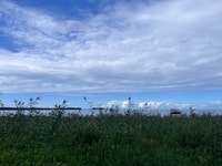From Tallinn, Lahemaa National Park Day Trip with Snacks - Housity