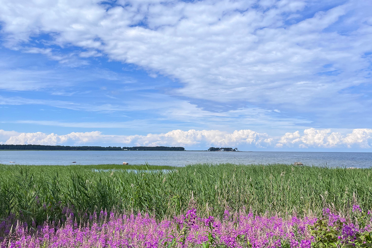 Van Tallinn: dagtrip naar nationaal park Lahemaa met snacksVan Tallinn: dagtrip naar nationaal park Lahemaa met picknick